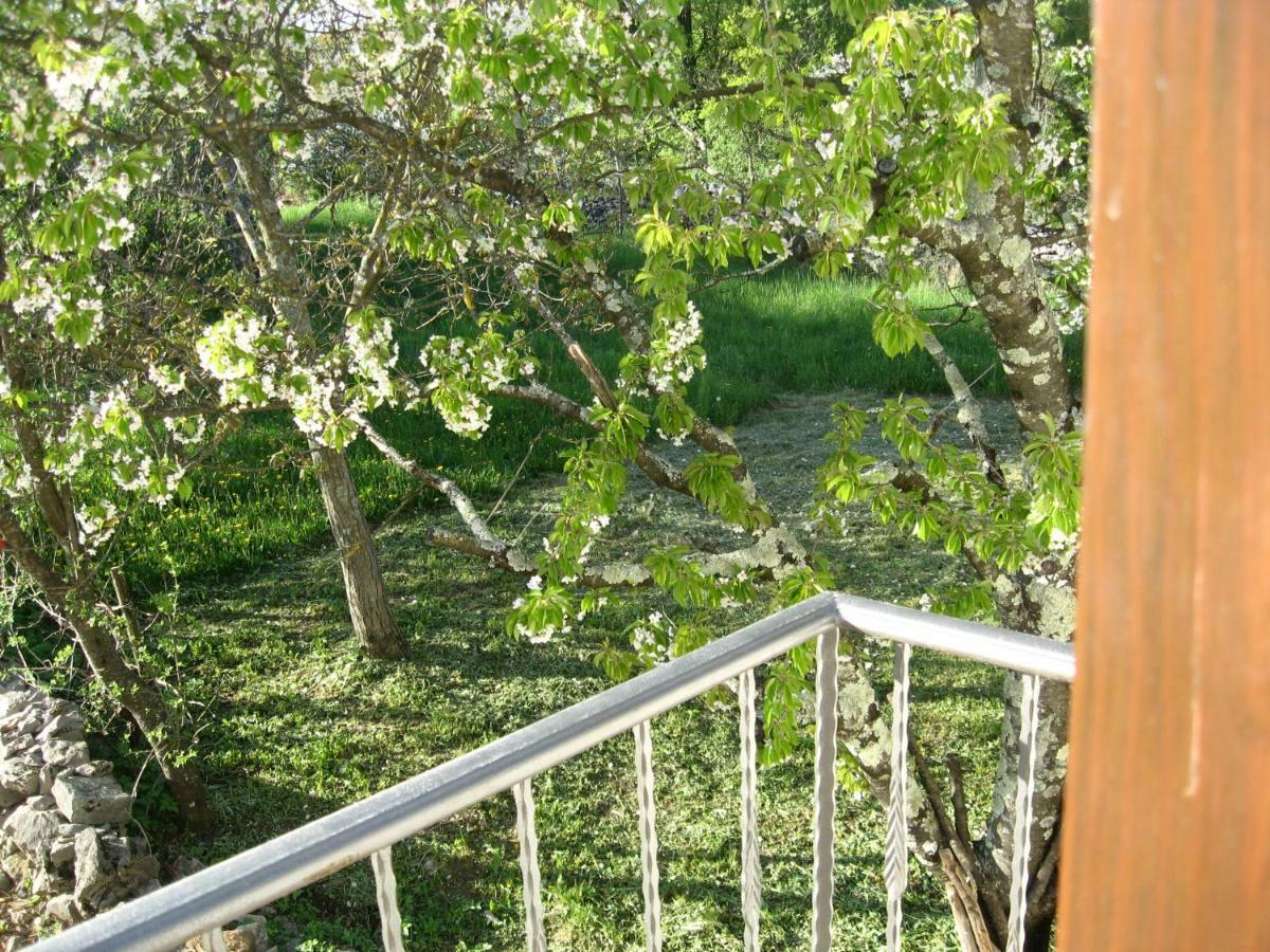 Antonia & Arian Apartment Roc Exterior photo